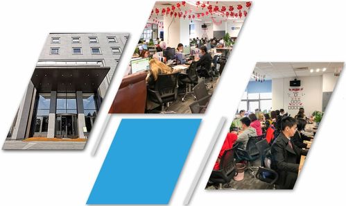 森歌網絡 專注SEO營銷推廣，以全方位網絡文化經營賦能企業品牌高效傳播